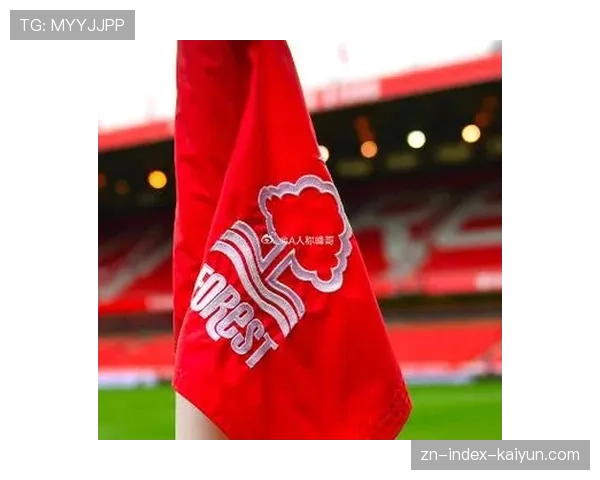 英超财务违规案调查，诺丁汉森林受审查